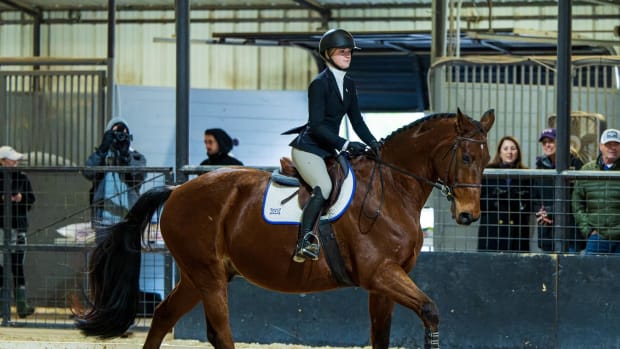 TCU Equestrian